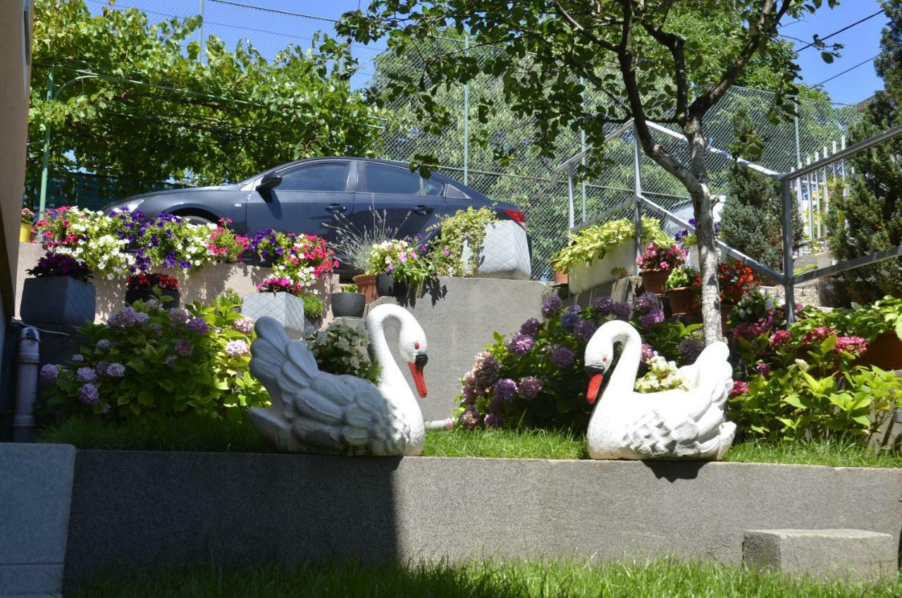 Apartments Lilly Rijeka Dış mekan fotoğraf
